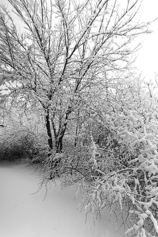 Wisconsin Winters | Adam Murphy Photography